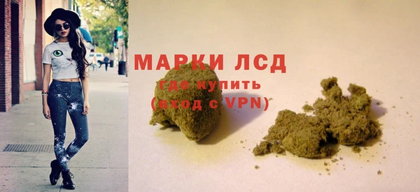apvp Каменка